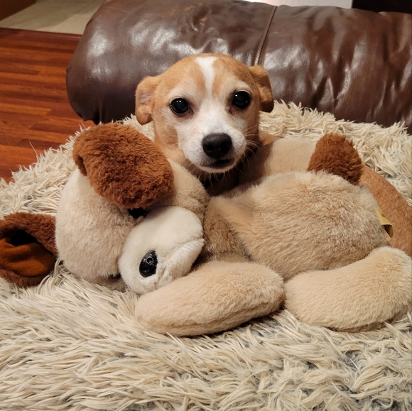 Kristijohnso331 Like this listing to be notified when I go live.@kristijohnso331 - Picture 8 of 10